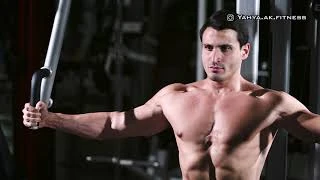 Butterfly - Chest Exercise
